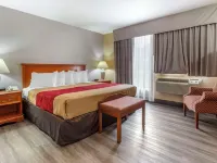 Econo Lodge & Suites Southern Pines Hotels in Moore County