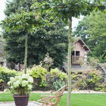 Hôtel-Restaurant Bel Ami