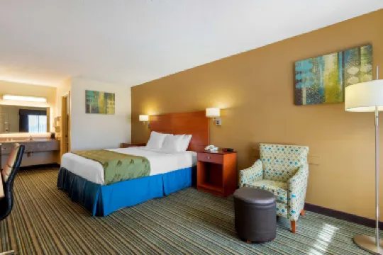 Quality Inn Hotels in 
