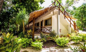 Hotel Tequila Cancun