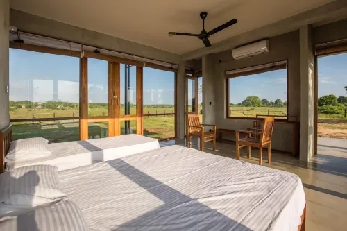 Tree Tops Yala Hotels in Palatupana