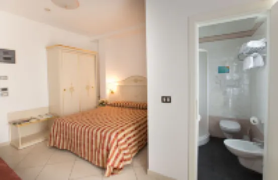 Hotel Metropol