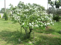 Villa Rita Bed & Breakfast Hotels in Squinzano