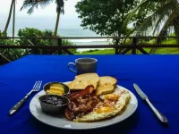 Palm Hill Guest House Hotels in Koattagoda