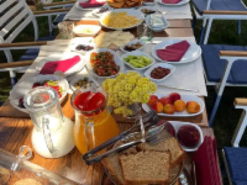 インエフェソスホテルアンドアートギャラリー セルチュクのホテル