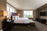 Hotel Zaza Houston Museum District - balcony
