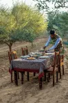 Kaner Retreat - India's First Desert Botanical Resort
