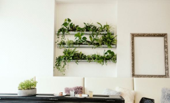 Wake up Wellness Hostel