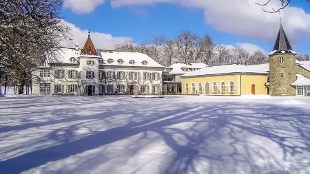 Château de Bossey Отели в г. Шаван-де-Божи