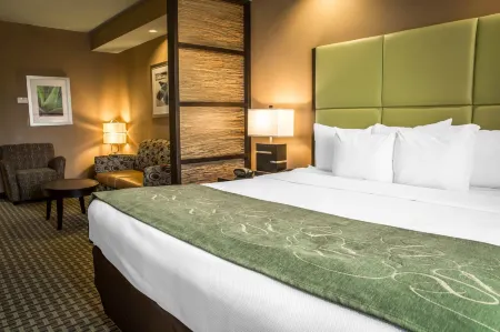 Comfort Suites New Bern Near Cherry Point