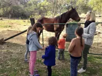 Kurrajong Trails and Cottages Hotels in Kurrajong Heights