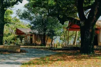 Aoshima Picnic Club