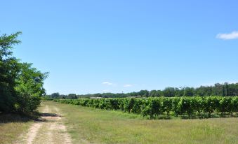 B&B Clos San Gianni