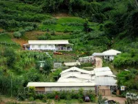 Moonriver Lodge Bertam 호텔