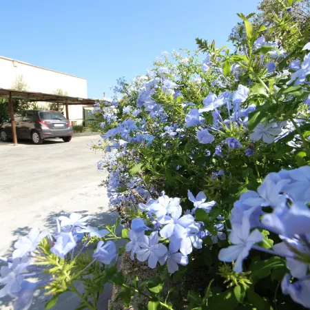 Villa B&B Antiche Macine del Salento - Nel Cuore del Salento