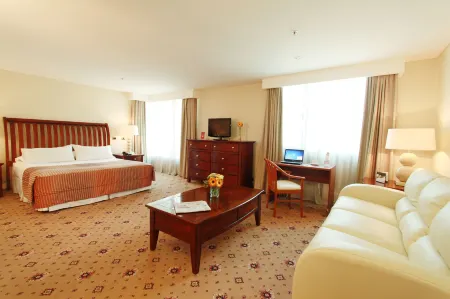 Hotel Torremayor Lyon Отели в г. Провиденсия