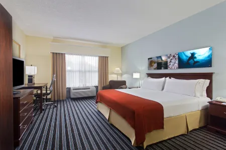 Holiday Inn Express & Suites Clearwater North/Dunedin Отели в г. Данедин