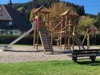 Hotel Hirschen Hotels in Feldberg