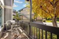 Blue Jay Getaway #2082