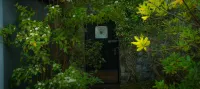 沃特鄉村別墅民宿 - 別墅