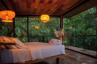 Cedro Amazon Lodge - Wifi