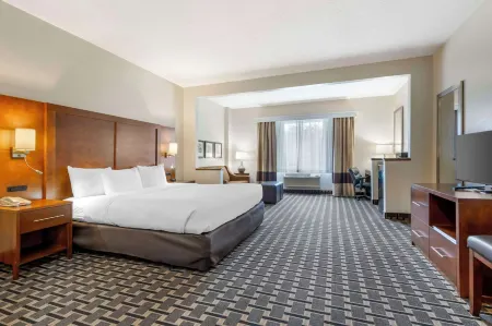 Comfort Inn Summerville - Charleston