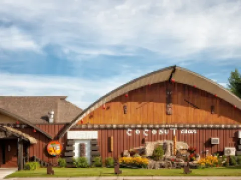 椰子汽車旅館 三河城酒店