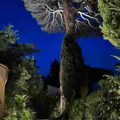 Maison d'Orange - La Pinede Hotel Exterior