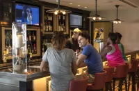 Cedar Point Hotel Breakers - bar