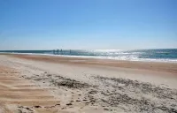 Sea la VIE