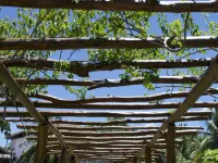 Nosy Be Hotel & Spa Hotels in Diana