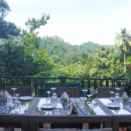 Holistic Villas River