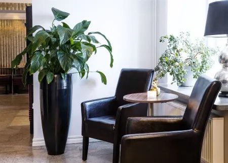 Donners Hotel Отели в г. Готланд