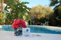 Hotel Villa Mediterranea - Rooftop Pools