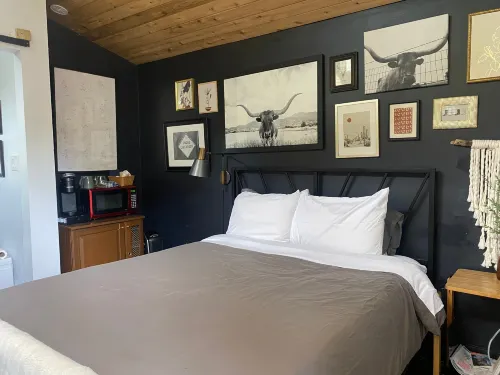 Cozy Patio and Luxurious Amenities - Charming Modern Studio