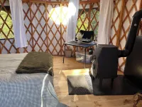 RESTful yurt in charming Hinsdale; pet-friendly with multiple hiking options
