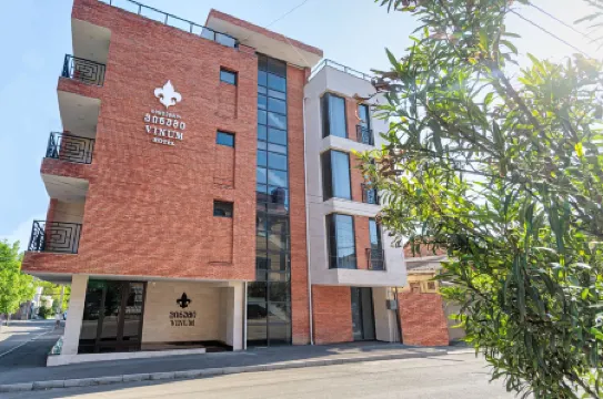 Vinum Hotel Отели рядом с Аэропорт Шота Руставели