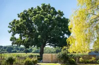 The Hideaway Hut - 1 Bed Shepherds Hut - Hereford