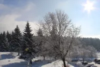 App with Air Conditioning, Pool, Garage for Car, Bike, Skis, AktivCard Bayer.Wald Optional