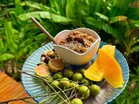 Little Diamond Jungle Home, Panoramic Ocean Views, 2 Verandas &Tropical Garden Hotels in Bathsheba