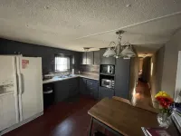 Family and Pet friendly lakefront with Dock