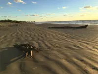 Island Life, Island Time, after Dune Delight