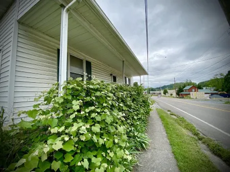 Cozy little cottage right in the friendly town of Damascus.
