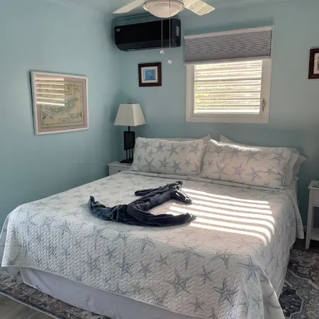 New for This Season Back up Batteries. No Wapa No Problem