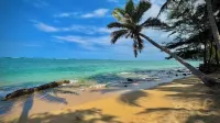 Turtles, Swim Beachfront Ocean View, New Bigger AC. Wash-Dryer in Unit, Parking