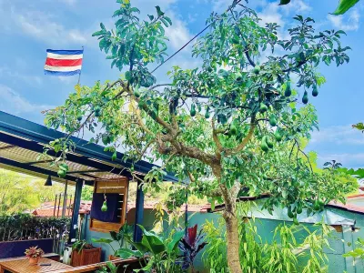 Amazing view duplex house Las Quebradas Biological Center (Centro Biológico Las Quebradas)附近的飯店