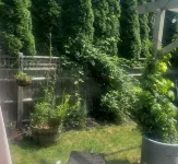 Family Summer Oasis- pets allowed, near beaches, swimming pool, outdoor kitchen! 아발로니아 랜드 콘서번시, 샌디 포인트 자연보호지역 주변 호텔