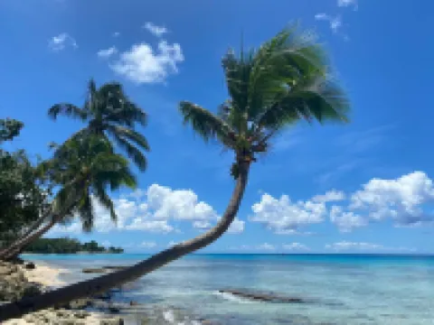 Quaint 1 bedroom apartment close to Mullins Beach