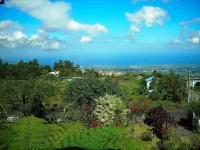 Les Bougainvilliers Hotels in Le Tampon