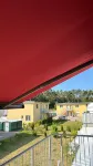 Seagull greeting on the Baltic Sea